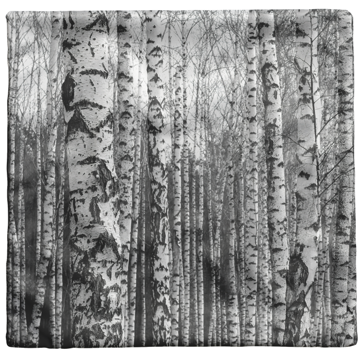 "Birch Trees in Winter" Throw Pillow