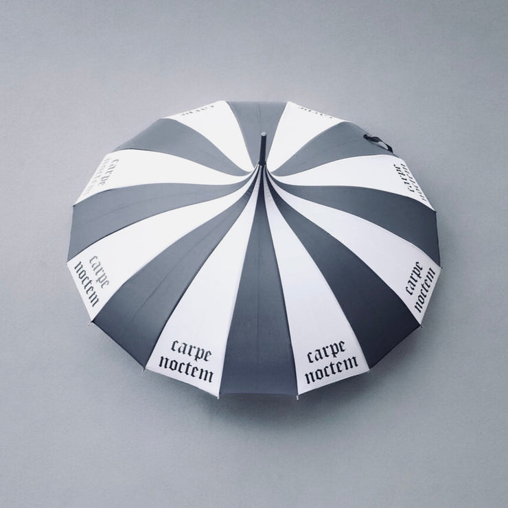 Umbrella with 'carpe noctem' text on gray background