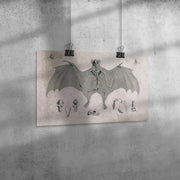 "Comparative Osteology - Flying Fox" Matte Poster