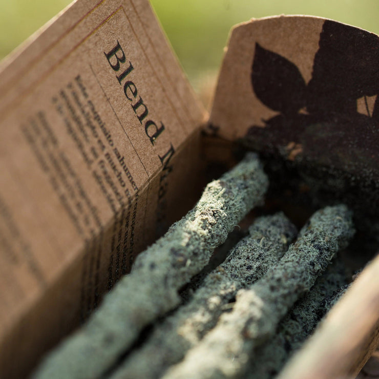 Box of incense sticks with a leaf design on a blurred natural background