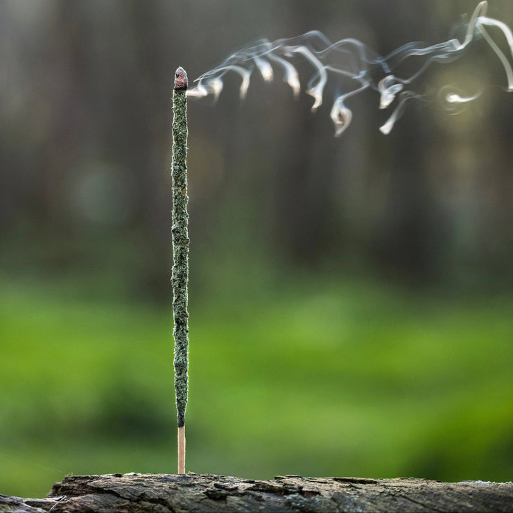 Incense stick with smoke against a blurred natural background