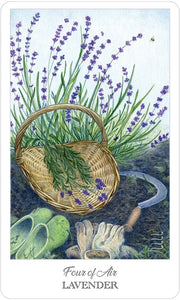 The Herbcrafter's Tarot by Joanna Colbert Tarot Deck