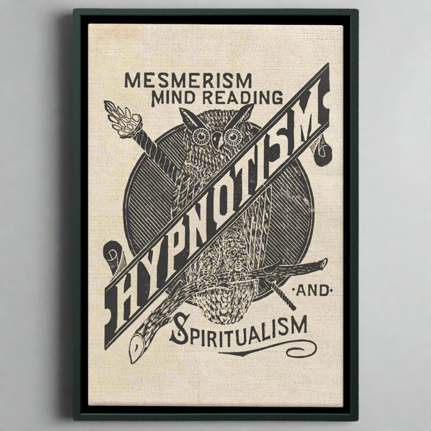 Vintage-inspired Hypnotism Owl artwork, featuring a captivating owl design symbolizing mystery and wisdom, perfect for gothic home decor.