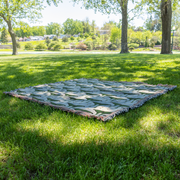 Luna Moth 100% Cotton Woven Throw Blanket