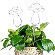Abreuvoir automatique pour plantes en verre Cottagecore