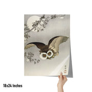 "Scops Owl in Flight" by Ohara Koson Matte Poster