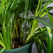 Abreuvoir automatique pour plantes en verre Cottagecore
