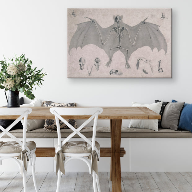 "Comparative Osteology - Flying Fox" Rectangle Canvas Wrap