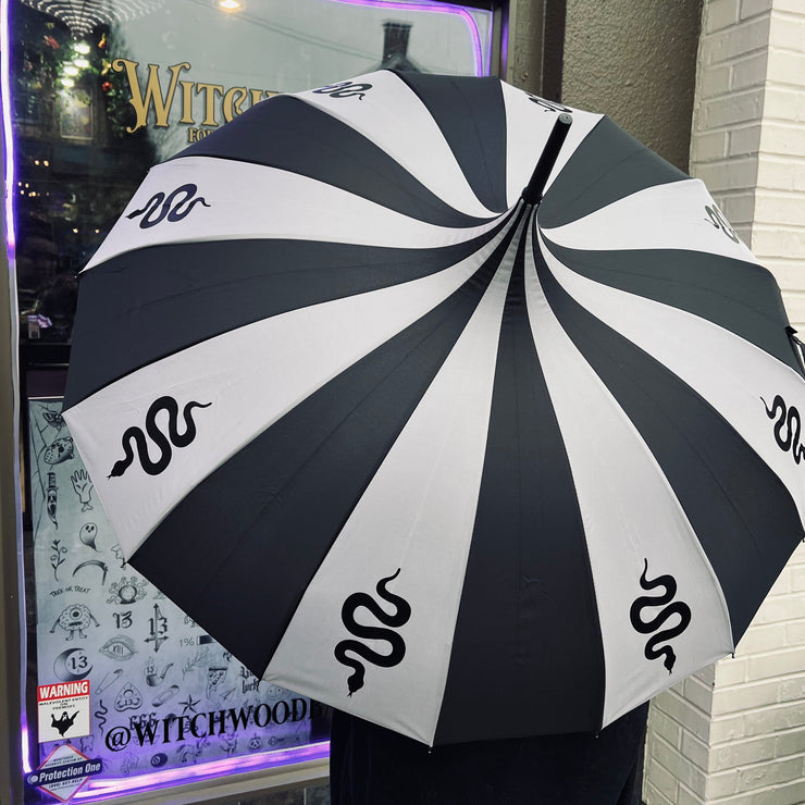 Gray and white striped umbrella with snake designs held by a person in front of a store window.