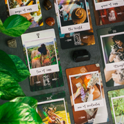 Collection of tarot cards on a dark surface with leaves