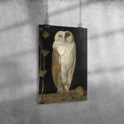 "The White Owl" by William James Webbe Matte Poster
