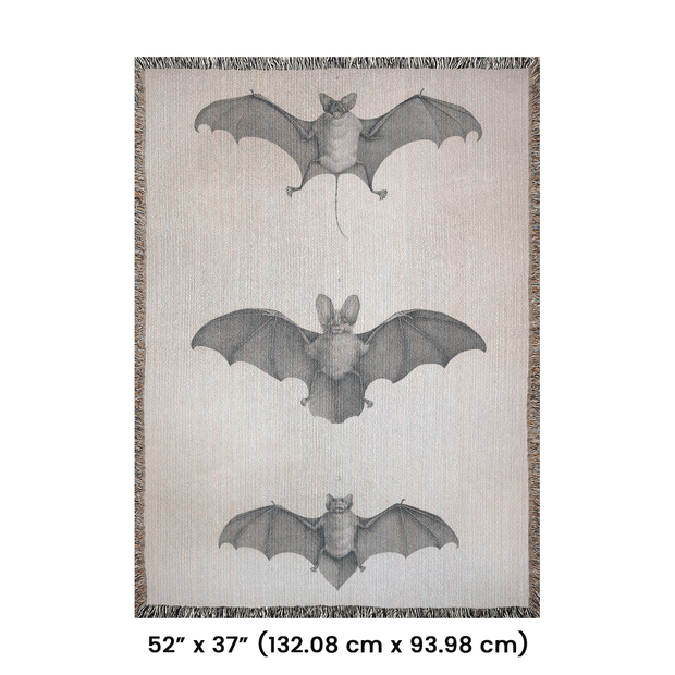 Bats of Egypt Woven Throw Blanket [Chauve-Souris D'Egypte] featuring the first plate from Histoire Naturelle volumes, showcasing Egyptian campaign discoveries by French scholars. This beautifully crafted blanket is perfect for any setting—use it as a stunning wall decoration, a cozy throw for your sofa, or even a unique picnic spread.