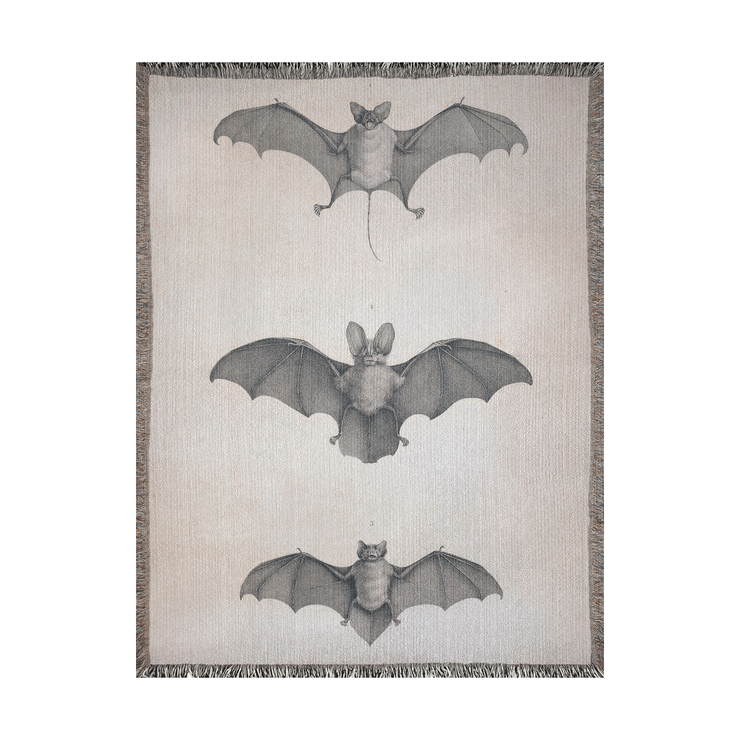 Bats of Egypt Woven Throw Blanket [Chauve-Souris D'Egypte] featuring the first plate from Histoire Naturelle volumes, showcasing Egyptian campaign discoveries by French scholars. This beautifully crafted blanket is perfect for any setting—use it as a stunning wall decoration, a cozy throw for your sofa, or even a unique picnic spread.