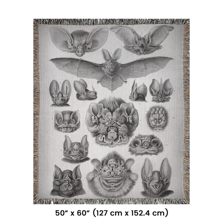 Vampire Bats Woven Throw Blanket featuring 'Chiroptera - Vampyrus' from Kunstformen der Natur by Ernst Haeckel. This beautifully crafted blanket is perfect for any setting—use it as a stunning wall decoration, a cozy throw for your sofa, or even a unique picnic spread.