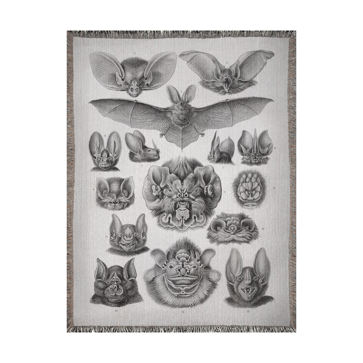 Vampire Bats Woven Throw Blanket featuring 'Chiroptera - Vampyrus' from Kunstformen der Natur by Ernst Haeckel. This beautifully crafted blanket is perfect for any setting—use it as a stunning wall decoration, a cozy throw for your sofa, or even a unique picnic spread.