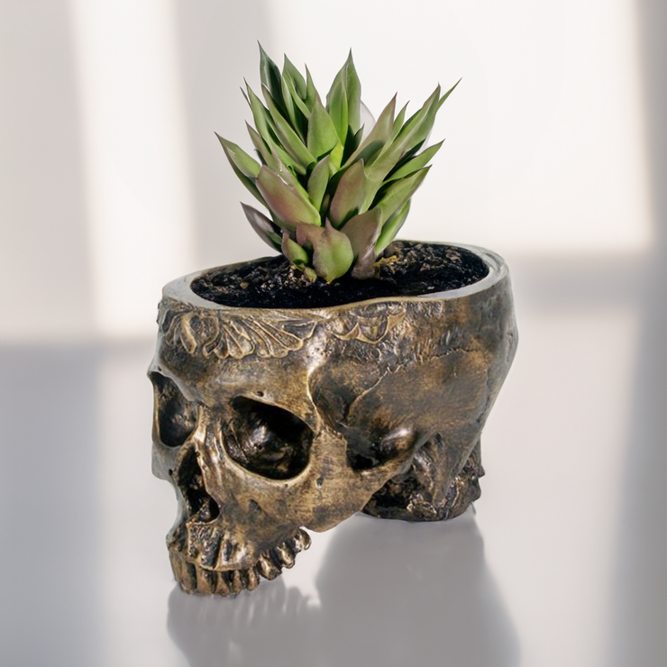 Eternal Bloom Skull Planter