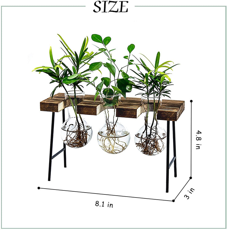 Station de propagation des plantes de table