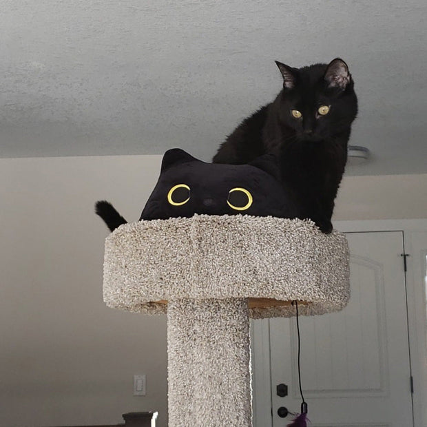 Adorable Squishy Black Cat Plush Toy - Soft and Fuzzy Huggable Toy for Children or Adults - High-Quality Polyester with Embroidered Accents - Perfect Cuddly Companion
