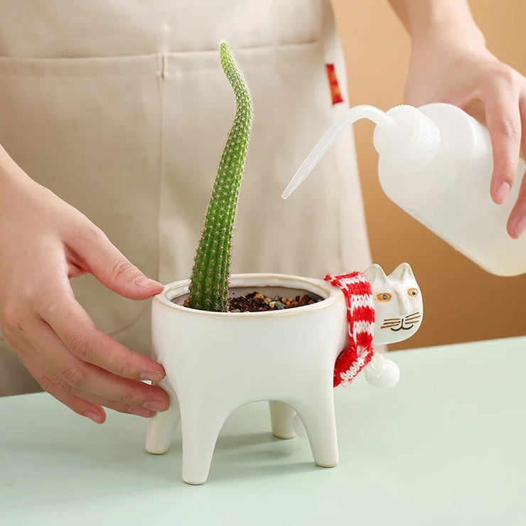Cute Cat Ceramic Flowerpot / Planter