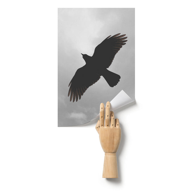 Affiche mate « Corbeau par temps nuageux »
