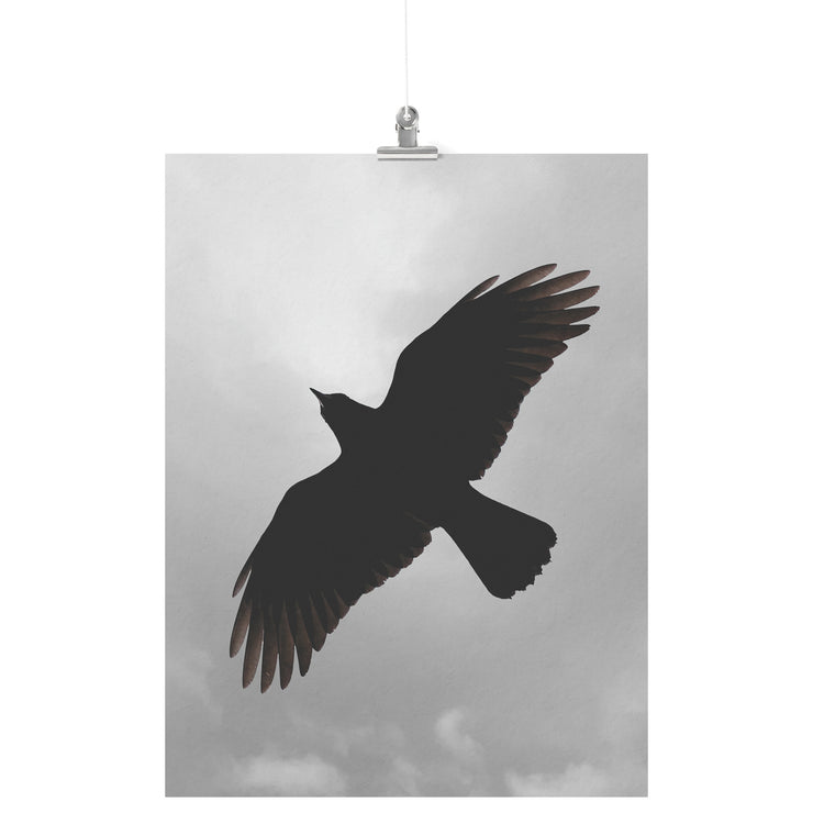 "Crow on a Cloudy Day" Matte Poster
