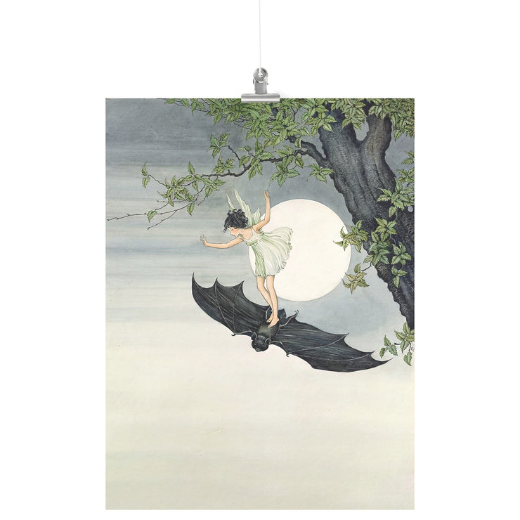 "Hada montando un murciélago" de Ida Rentoul Outhwaite Matte Poster