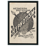 "Hypnotism Owl" Framed Canvas