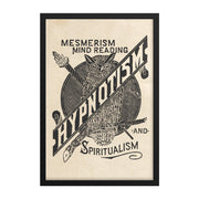 "Hypnotism Owl" Rectangle Framed Art Print