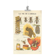 "La Vie De L'Abeille" (La vie de l'abeille) Affiche mate