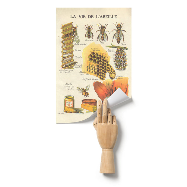 "La Vie De L'Abeille" (The Life of the Bee) Matte Poster