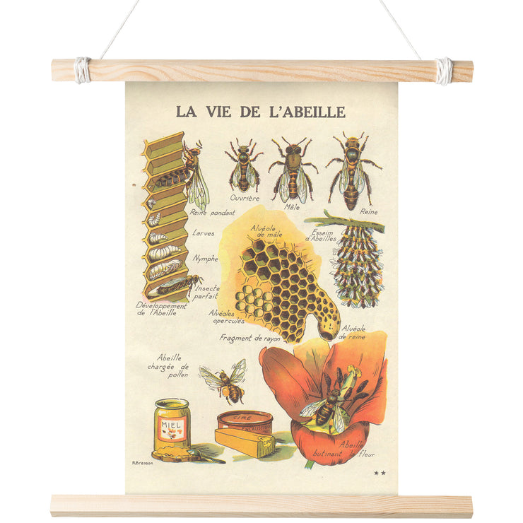 Cartel mate "La Vie De L'Abeille" (La vida de la abeja)