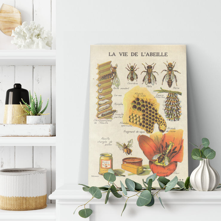 Envoltura de lona rectangular "La Vie De L'Abeille" (La vida de la abeja)