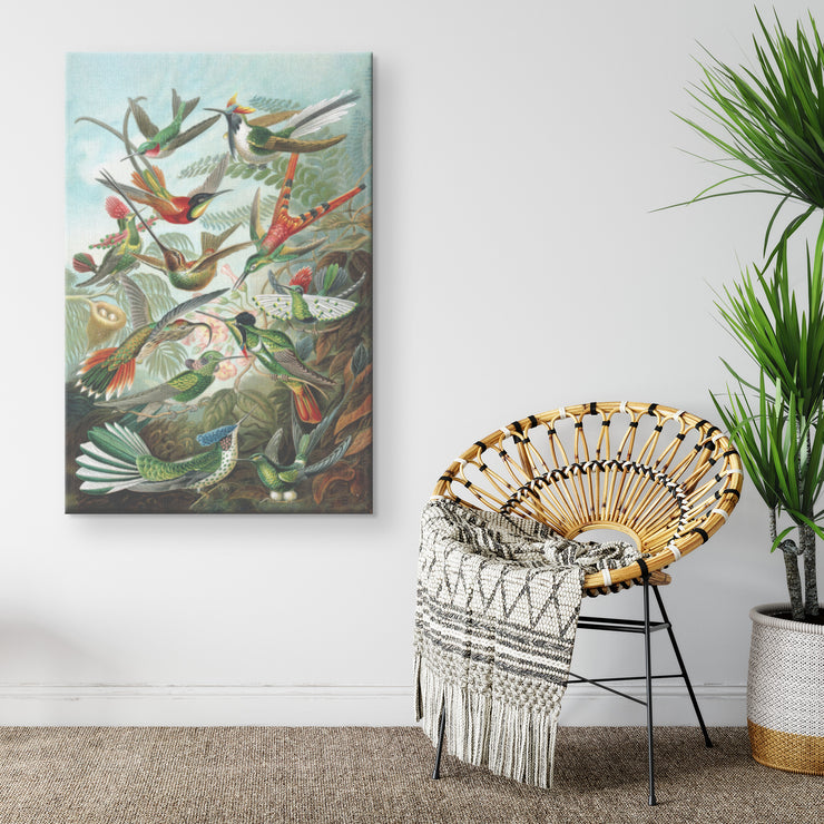 "Trochilidae" (Hummingbirds) by Ernst Haeckel Rectangle Canvas Wrap