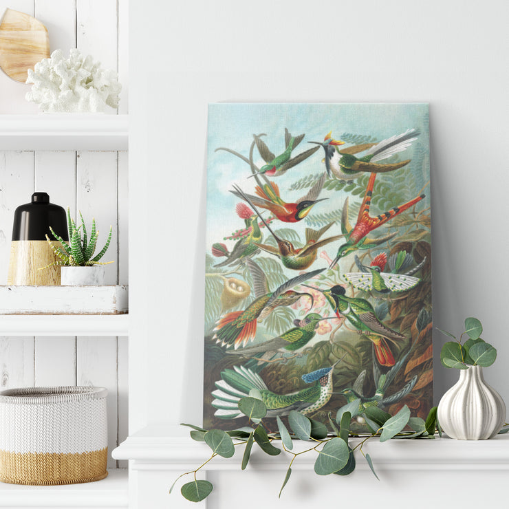 "Trochilidae" (Hummingbirds) by Ernst Haeckel Rectangle Canvas Wrap